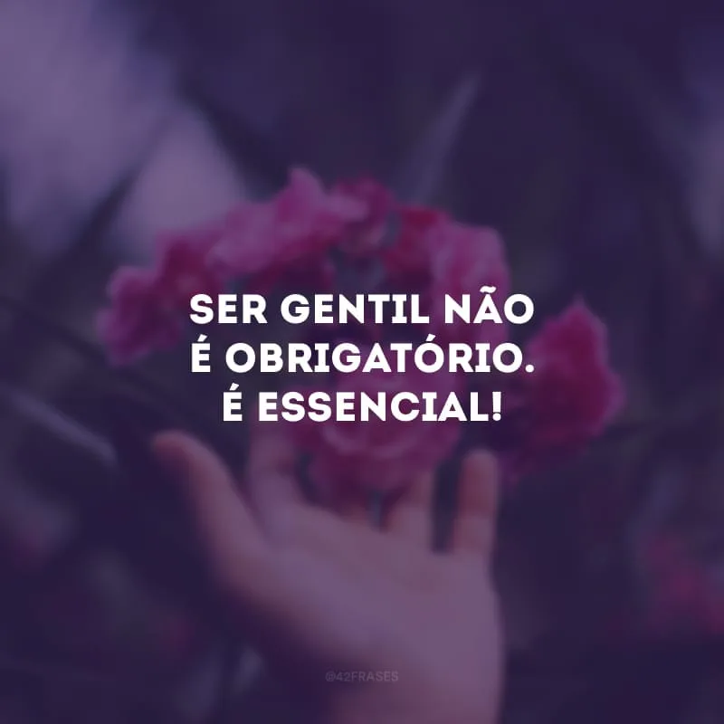 Ser gentil não é obrigatório. É essencial!