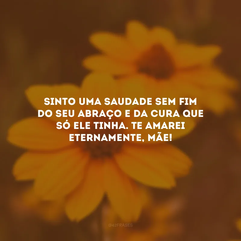 Sinto uma saudade sem fim do seu abraço e da cura que só ele tinha. Te amarei eternamente, mãe!