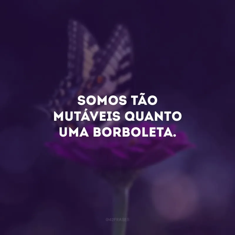 Somos tão mutáveis quanto uma borboleta.
