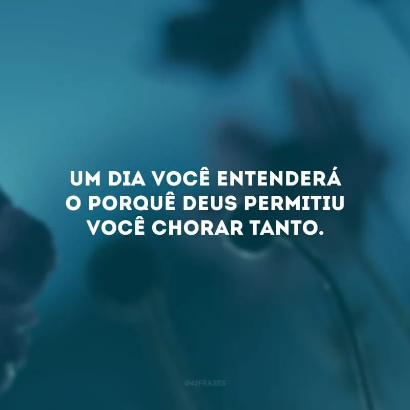 Um dia você entenderá o porquê Deus permitiu você chorar tanto. 