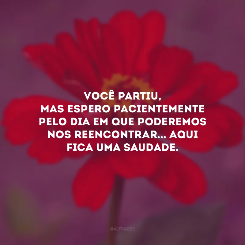 Você partiu, mas espero pacientemente pelo dia em que poderemos nos reencontrar... Aqui fica uma saudade.