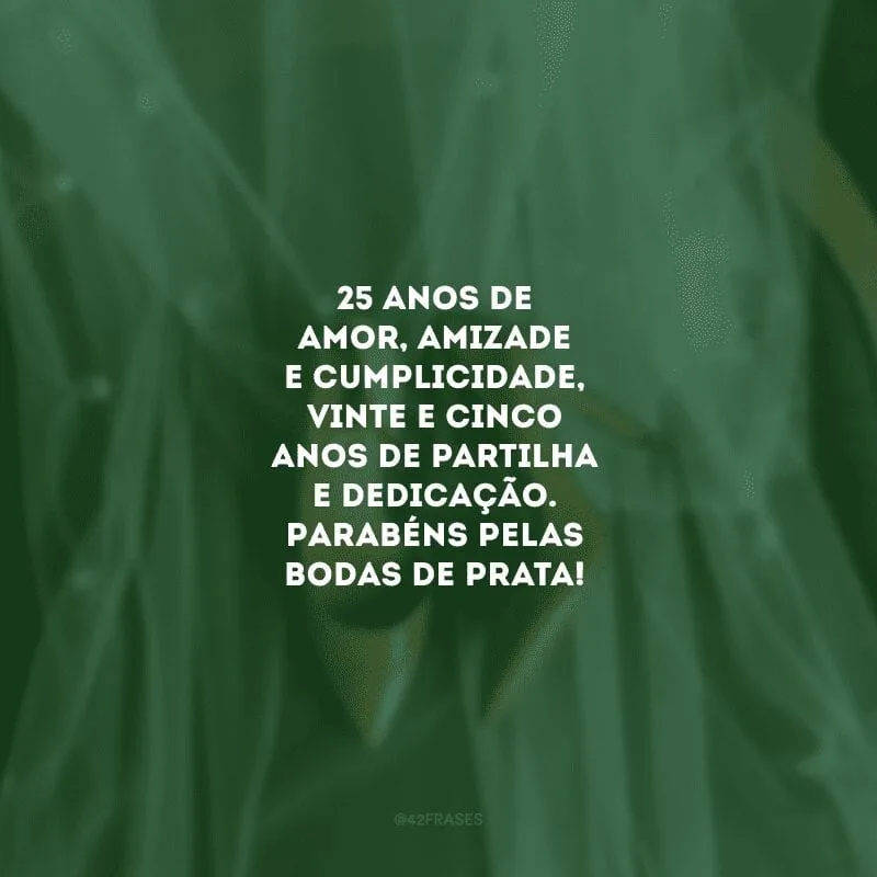 25 anos de amor, amizade e cumplicidade, vinte e cinco anos de partilha e dedicação. Parabéns pelas bodas de prata! 