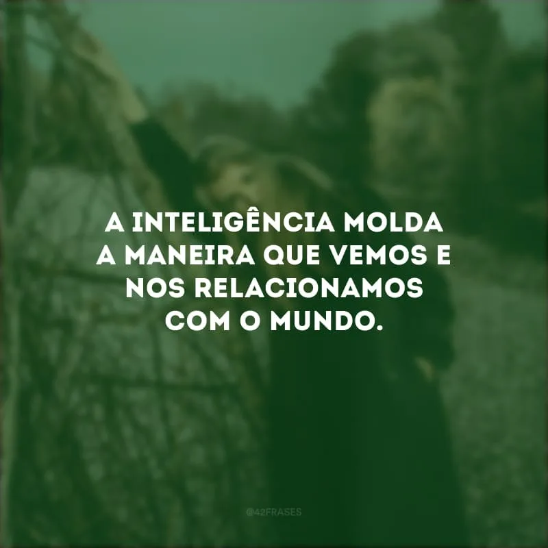 A inteligência molda a maneira que vemos e nos relacionamos com o mundo.