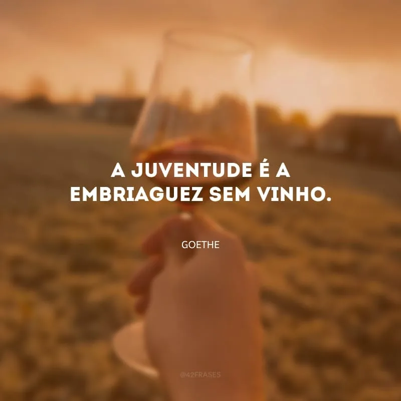 A juventude é a embriaguez sem vinho.