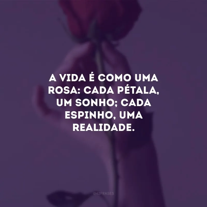 A vida é como uma rosa: cada pétala, um sonho; cada espinho, uma realidade.