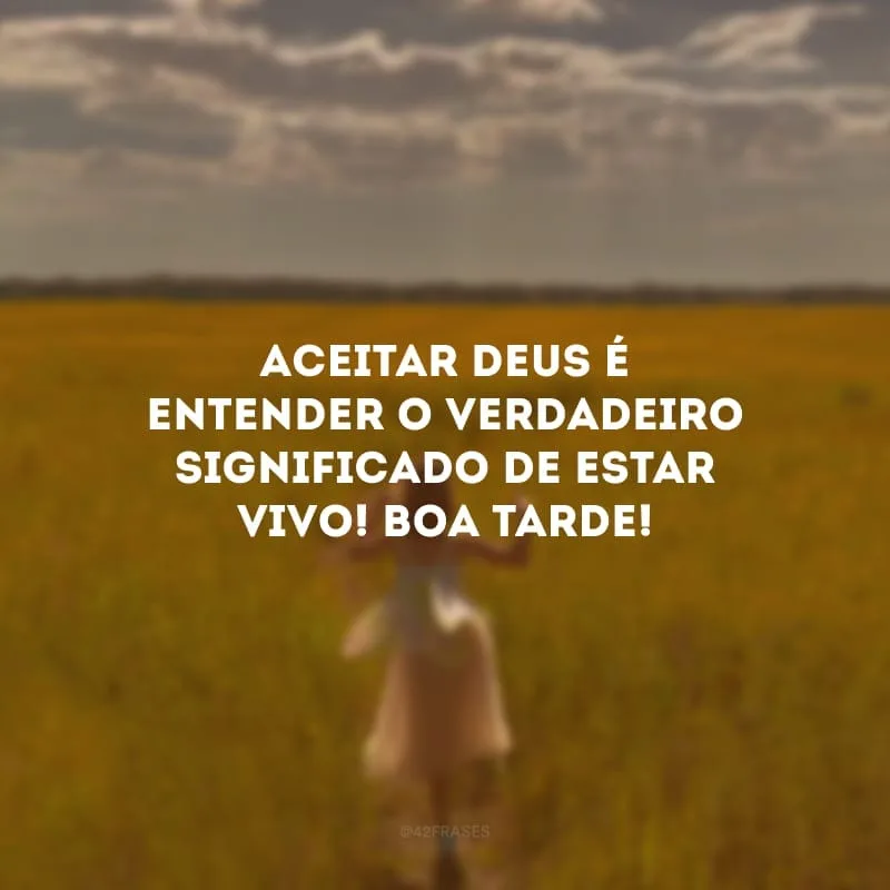 Aceitar Deus é entender o verdadeiro significado de estar vivo! Boa tarde!