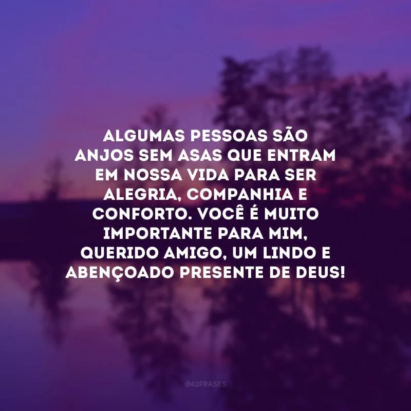Algumas pessoas são anjos sem asas que entram em nossa vida para ser alegria, companhia e conforto. Você é muito importante para mim, querido amigo, um lindo e abençoado presente de Deus!