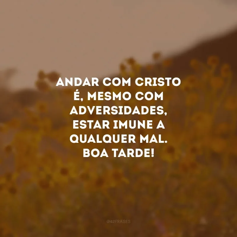 Andar com Cristo é, mesmo com adversidades, estar imune a qualquer mal. Boa tarde!