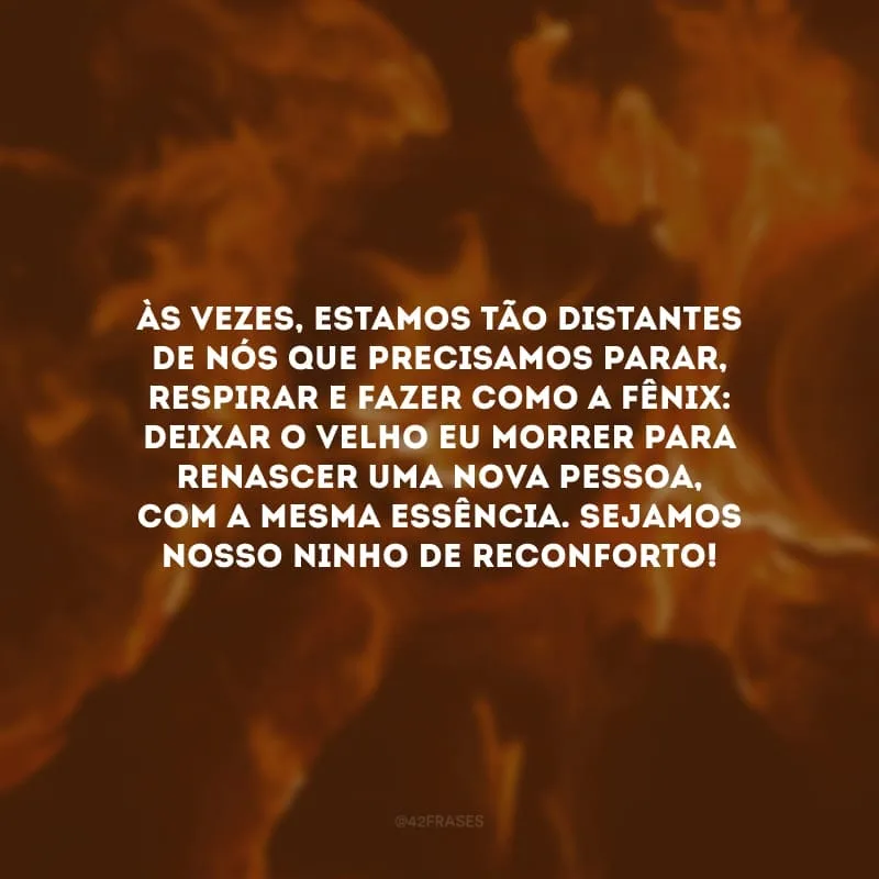 Às vezes, estamos tão distantes de nós que precisamos parar, respirar e fazer como a fênix: deixar o velho eu morrer para renascer uma nova pessoa, com a mesma essência. Sejamos nosso ninho de reconforto!