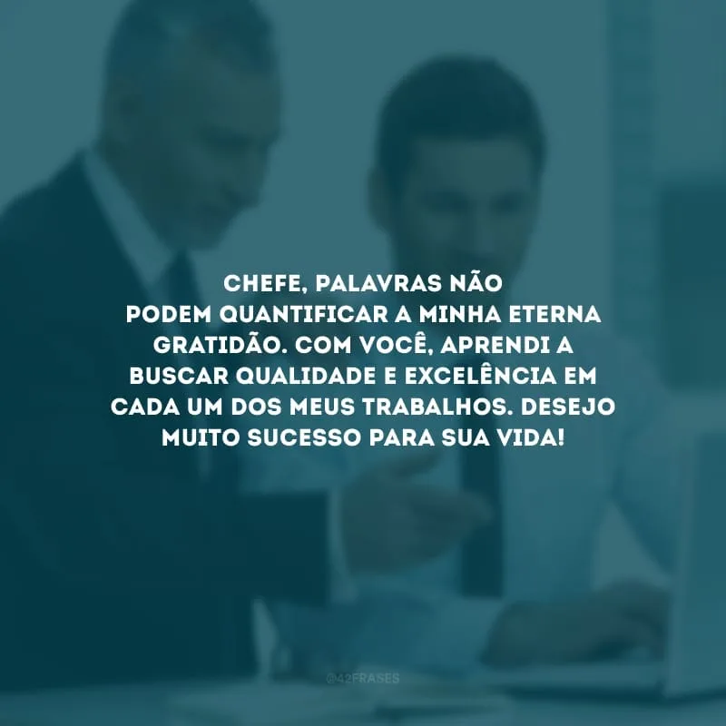 Chefe, palavras não podem quantificar a minha eterna gratidão. Com você, aprendi a buscar qualidade e excelência em cada um dos meus trabalhos. Desejo muito sucesso para sua vida!