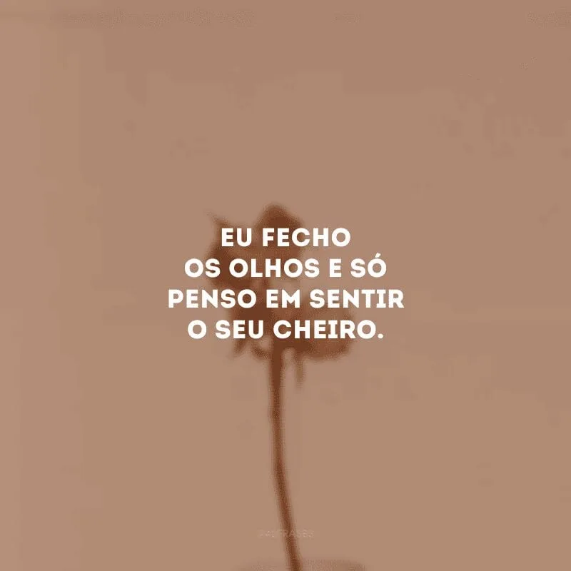 Eu fecho os olhos e só penso em sentir o seu cheiro. 