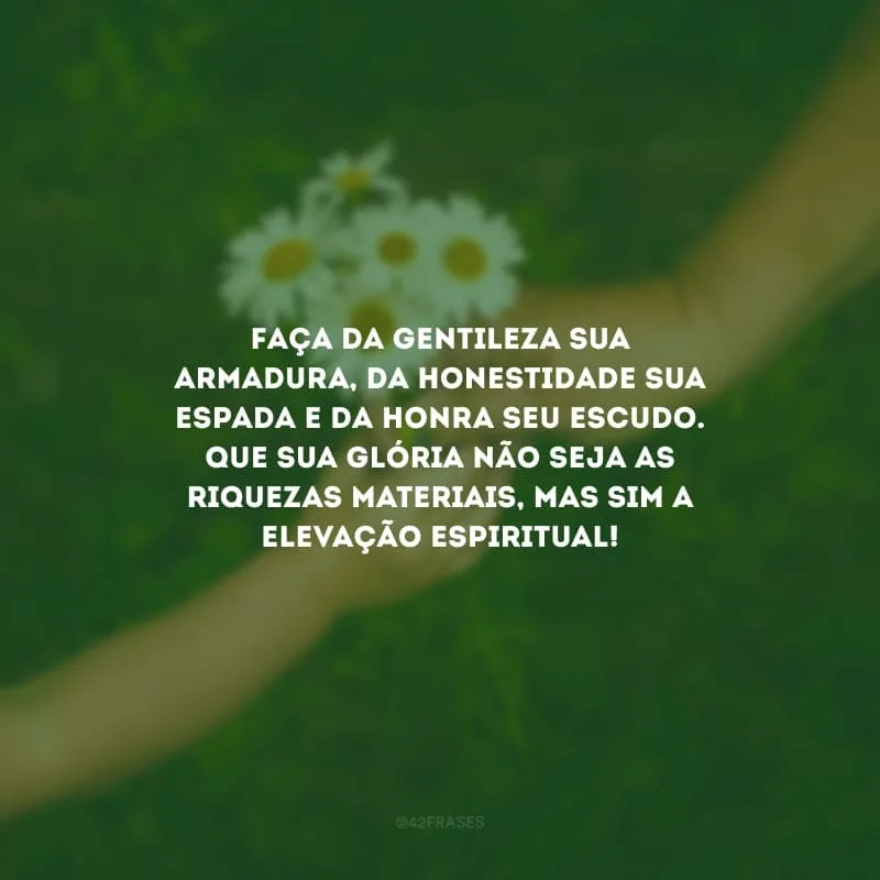 Faça da gentileza sua armadura, da honestidade sua espada e da honra seu escudo. Que sua glória não seja as riquezas materiais, mas sim a elevação espiritual!