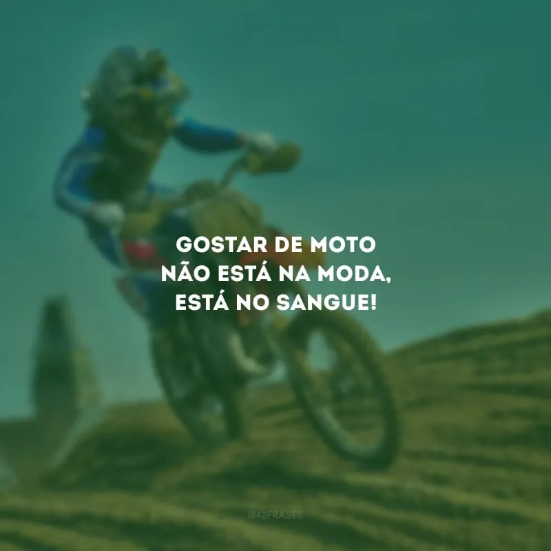 Gostar de moto não está na moda, está no sangue!