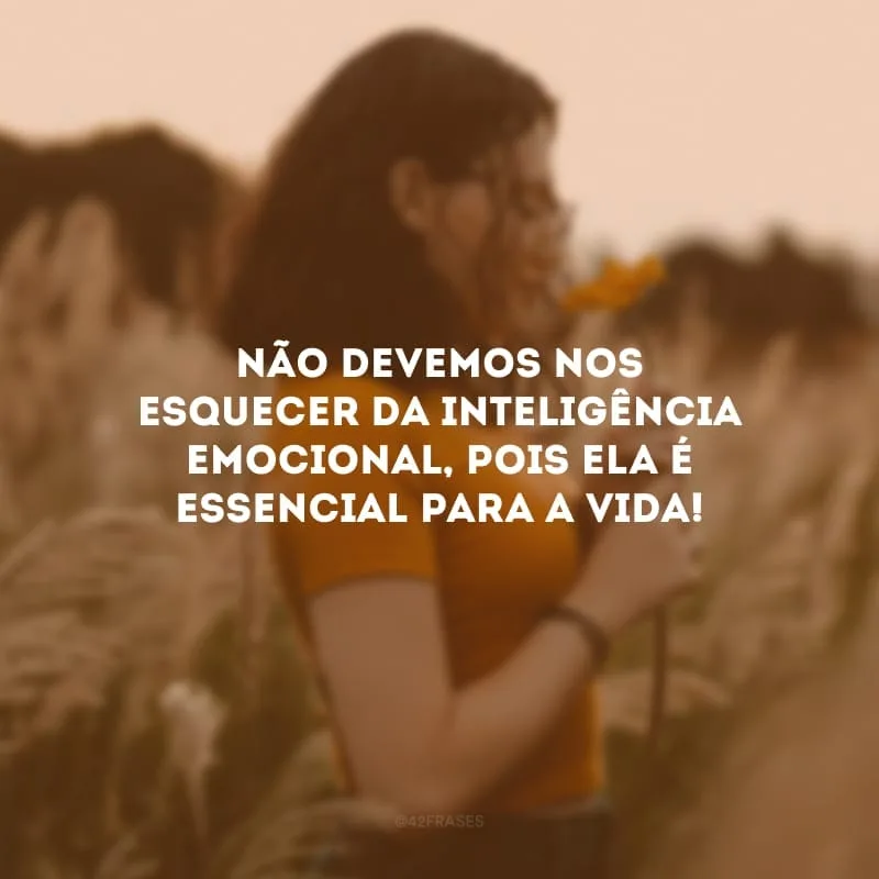 Não devemos nos esquecer da inteligência emocional, pois ela é essencial para a vida!