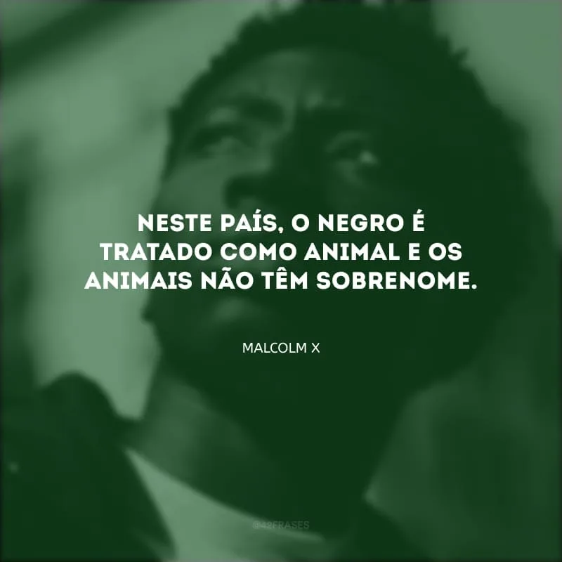 Neste país, o negro é tratado como animal e os animais não têm sobrenome.
