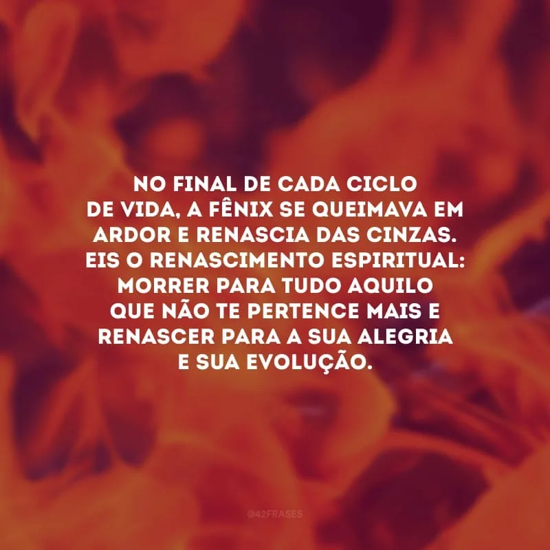 No final de cada ciclo de vida, a fênix se queimava em ardor e renascia das cinzas. Eis o renascimento espiritual: morrer para tudo aquilo que não te pertence mais e renascer para a sua alegria e sua evolução.