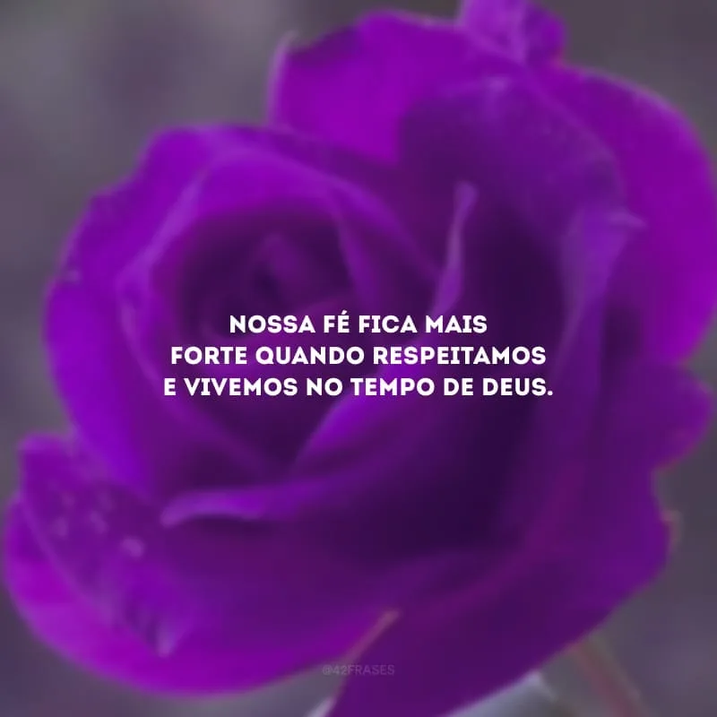 Nossa fé fica mais forte quando respeitamos e vivemos no tempo de Deus.