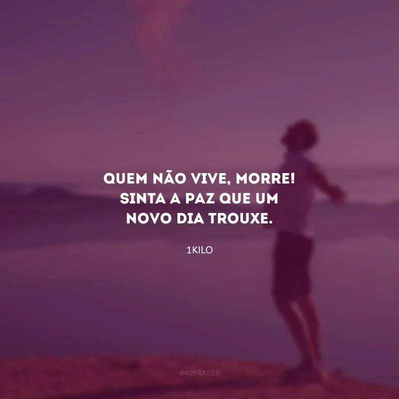 Quem não vive, morre! Sinta a paz que um novo dia trouxe.