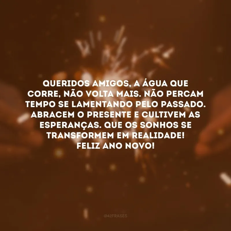 Queridos amigos, a água que corre, não volta mais. Não percam tempo se lamentando pelo passado. Abracem o presente e cultivem as esperanças. Que os sonhos se transformem em realidade! Feliz Ano Novo!
