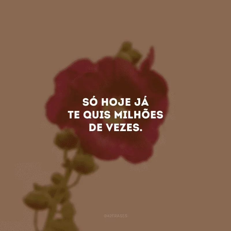 Só hoje já te quis milhões de vezes. 