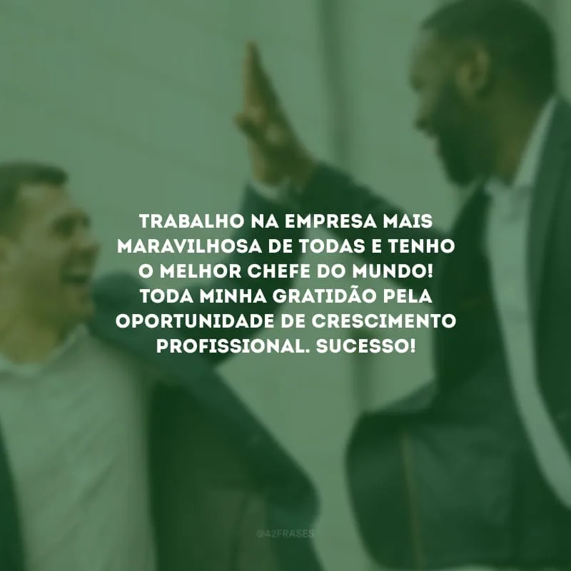 Trabalho na empresa mais maravilhosa de todas e tenho o melhor chefe do mundo! Toda minha gratidão pela oportunidade de crescimento profissional. Sucesso!