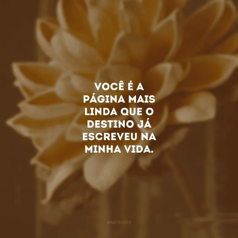 Você é a página mais linda que o destino já escreveu na minha vida. 