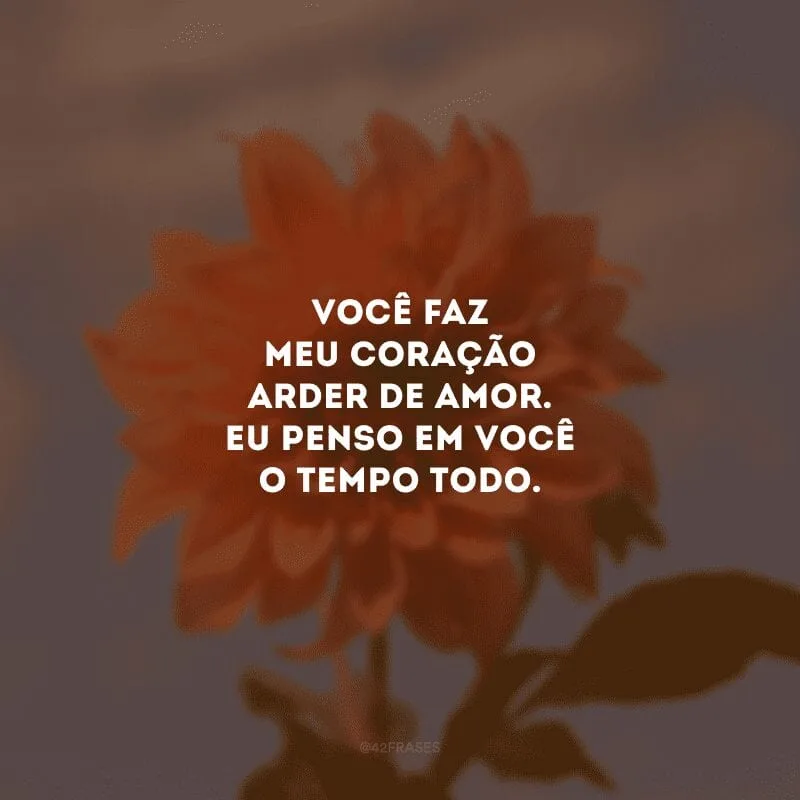 Você faz meu coração arder de amor. Eu penso em você o tempo todo. 