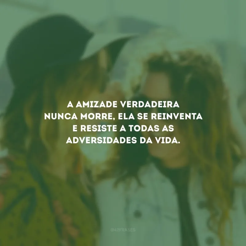 A amizade verdadeira nunca morre, ela se reinventa e resiste a todas as adversidades da vida.