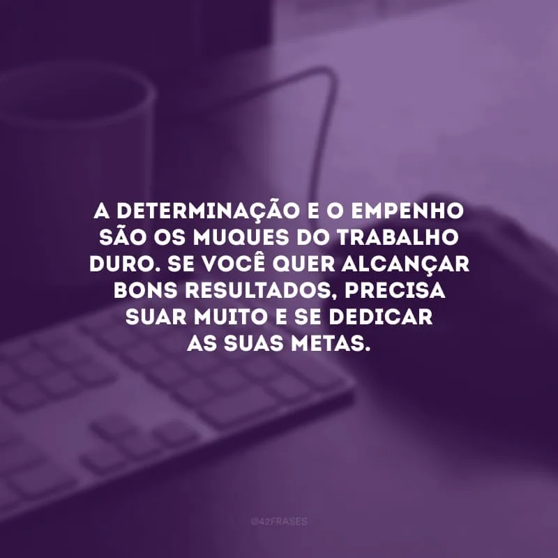 A determinação e o empenho são os muques do trabalho duro. Se você quer alcançar bons resultados, precisa suar muito e se dedicar as suas metas.
