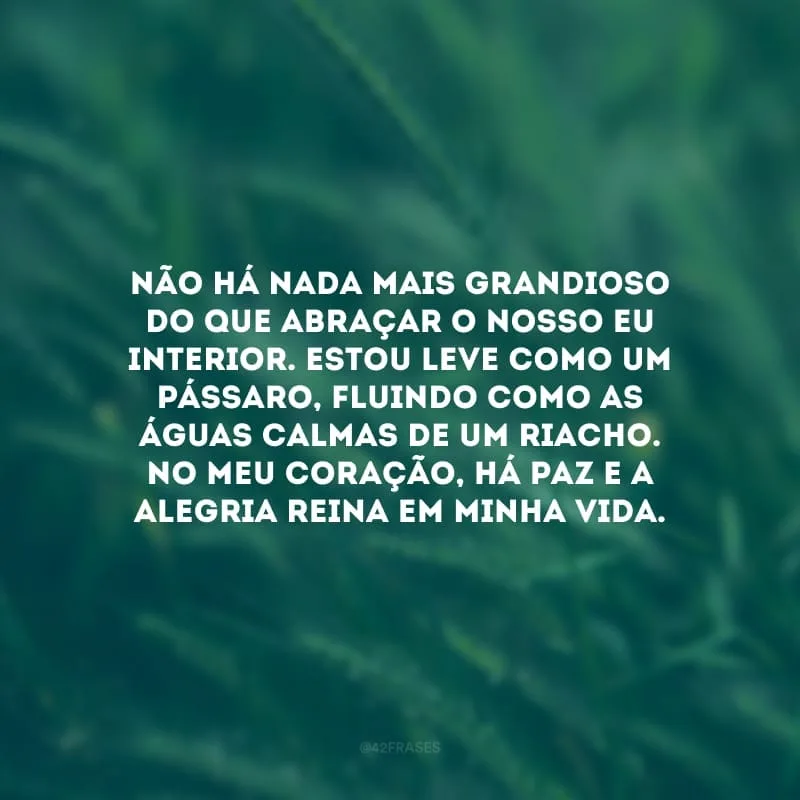 Não há nada mais grandioso do que abraçar o nosso eu interior. Estou leve como um pássaro, fluindo como as águas calmas de um riacho. No meu coração, há paz e a alegria reina em minha vida.