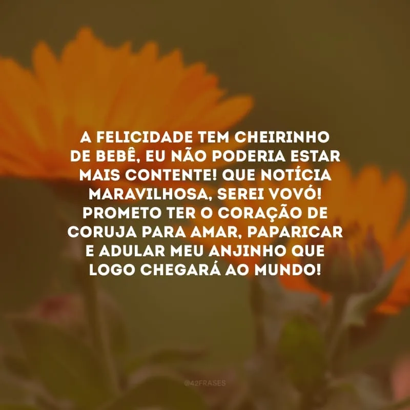 A felicidade tem cheirinho de bebê, eu não poderia estar mais contente! Que notícia maravilhosa, serei vovó! Prometo ter o coração de coruja para amar, paparicar e adular meu anjinho que logo chegará ao mundo!