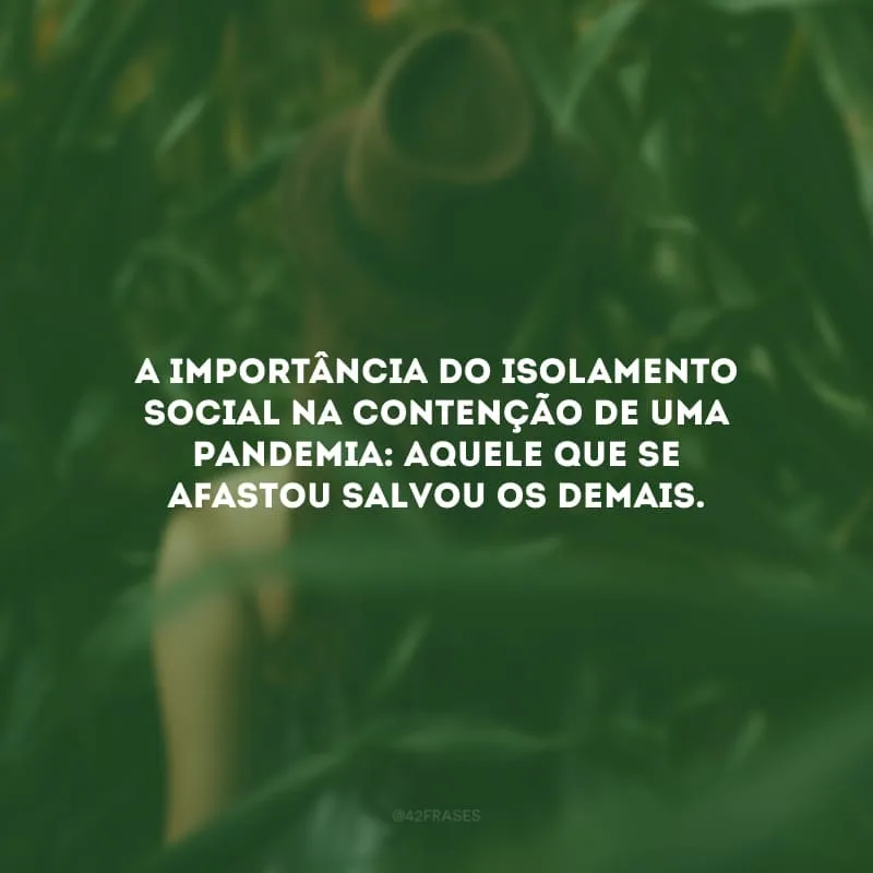 A importância do isolamento social na contenção de uma pandemia: aquele que se afastou salvou os demais.