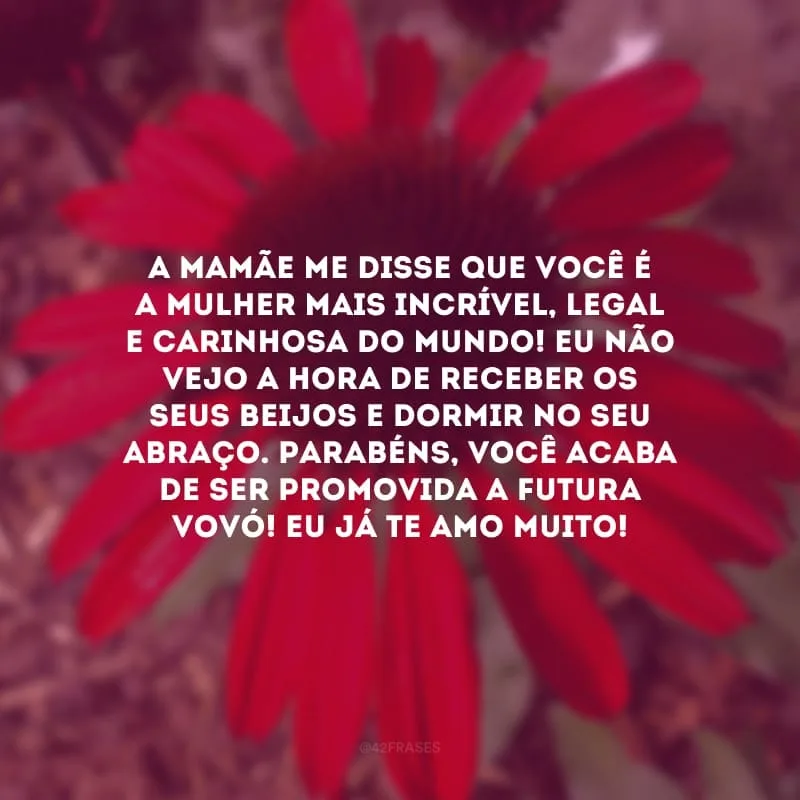 A mamãe me disse que você é a mulher mais incrível, legal e carinhosa do mundo! Eu não vejo a hora de receber os seus beijos e dormir no seu abraço. Parabéns, você acaba de ser promovida a futura vovó! Eu já te amo muito!