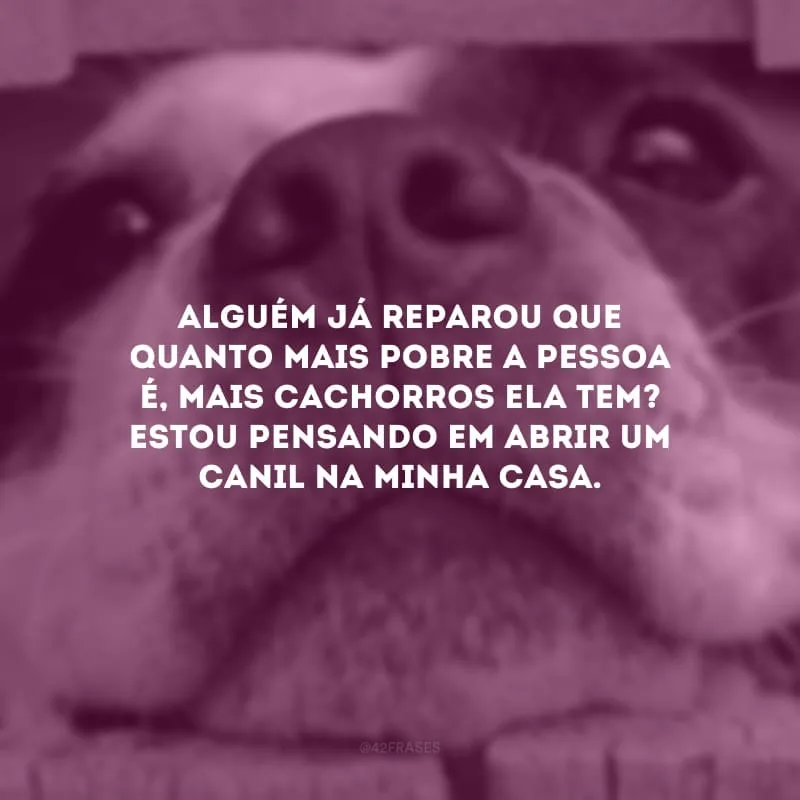 Alguém já reparou que quanto mais pobre a pessoa é, mais cachorros ela tem? Estou pensando em abrir um canil na minha casa.