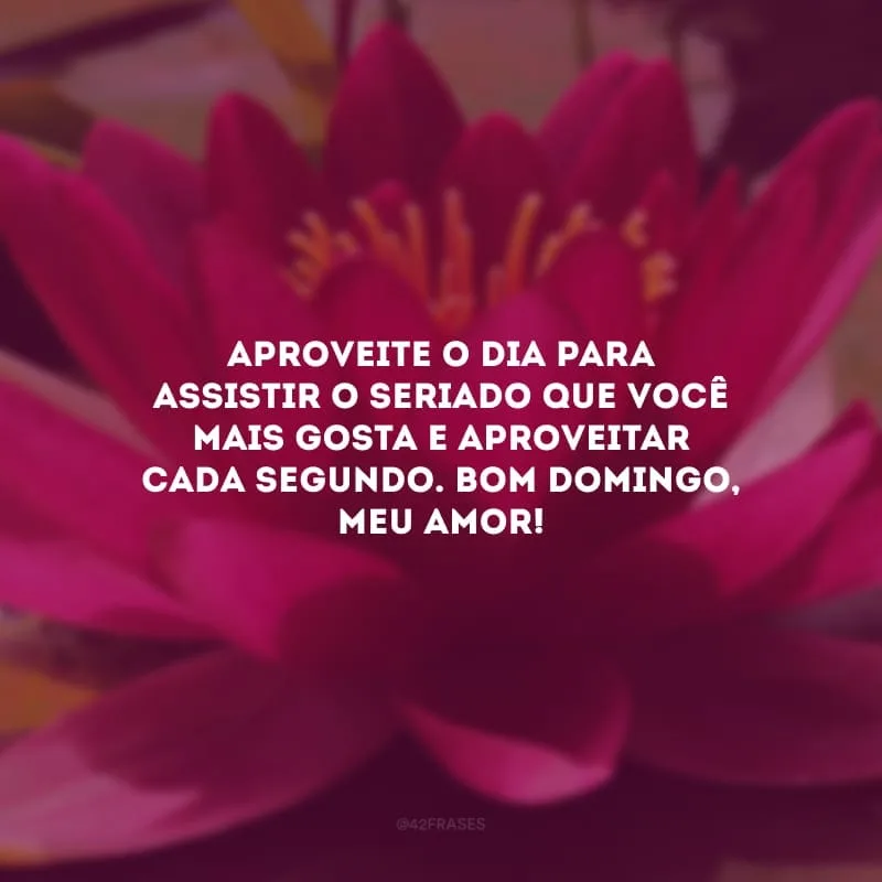 Aproveite o dia para assistir o seriado que você mais gosta e aproveitar cada segundo. Bom domingo, meu amor!
