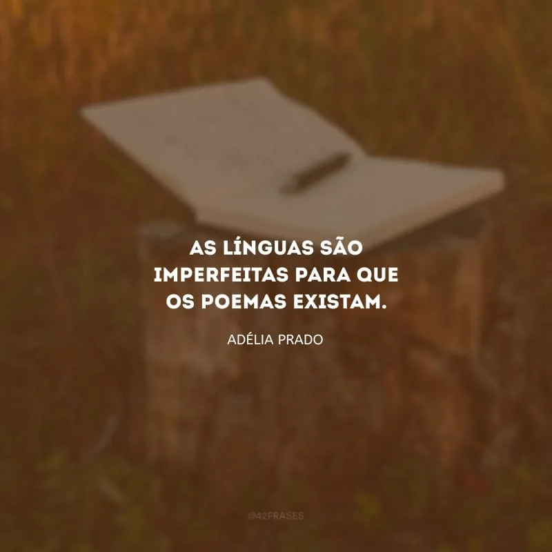 As línguas são imperfeitas para que os poemas existam.
