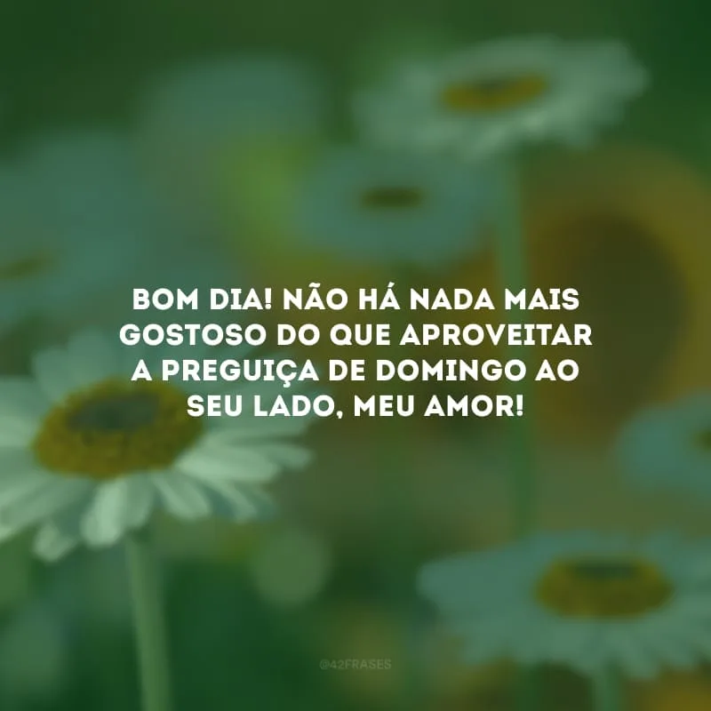 Bom dia! Não há nada mais gostoso do que aproveitar a preguiça de domingo ao seu lado, meu amor!