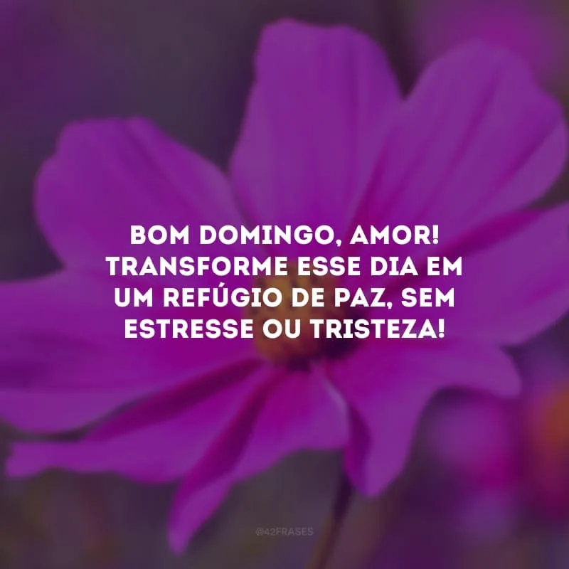 Bom domingo, amor! Transforme esse dia em um refúgio de paz, sem estresse ou tristeza!