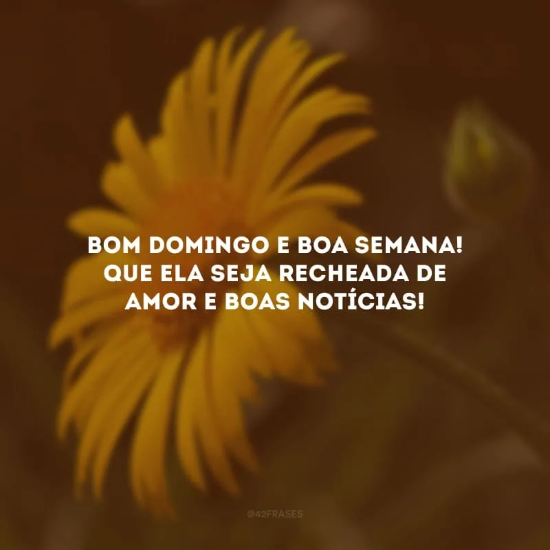 Bom domingo e boa semana! Que ela seja recheada de amor e boas notícias!
