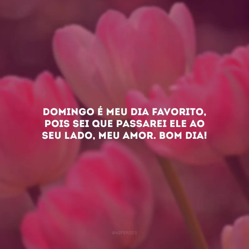 Domingo é meu dia favorito, pois sei que passarei ele ao seu lado, meu amor. Bom dia!
