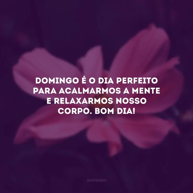 Domingo é o dia perfeito para acalmarmos a mente e relaxarmos nosso corpo. Bom dia!