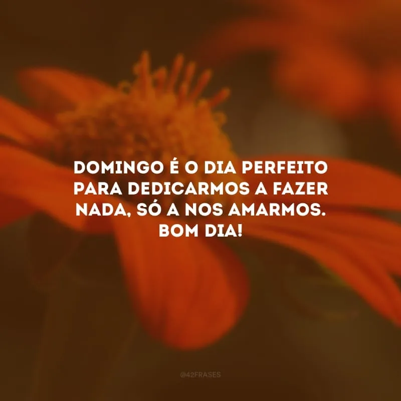 Domingo é o dia perfeito para dedicarmos a fazer nada, só a nos amarmos. Bom dia!