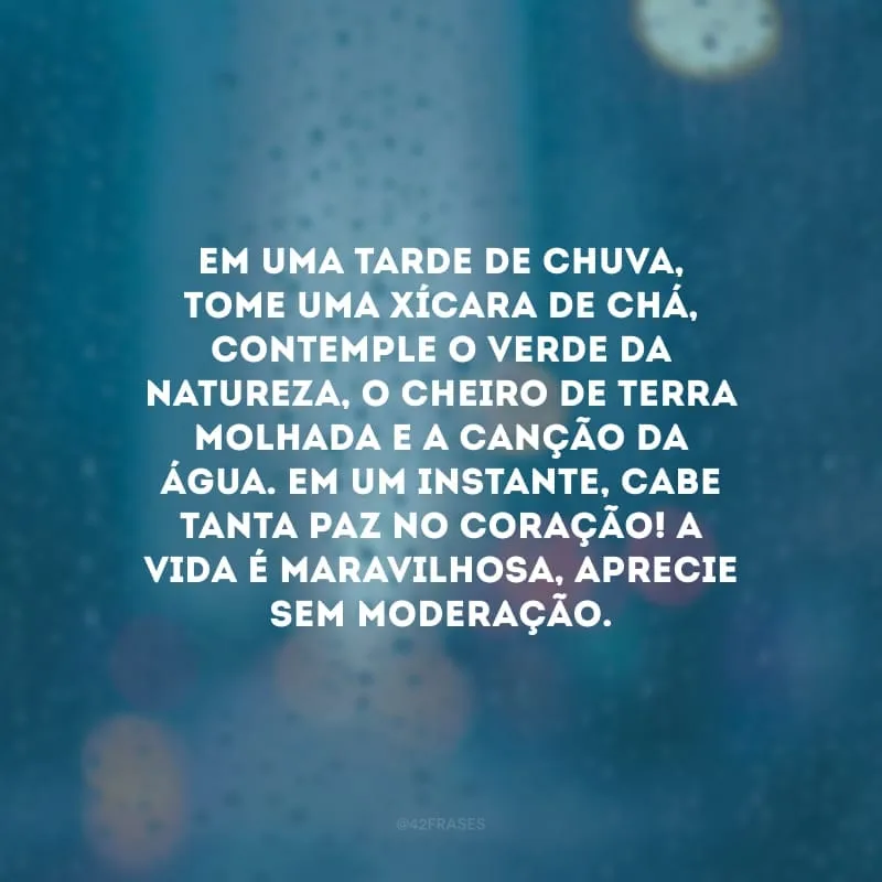 Em uma tarde de chuva, tome uma xícara de chá, contemple o verde da natureza, o cheiro de terra molhada e a canção da água. Em um instante, cabe tanta paz no coração! A vida é maravilhosa, aprecie sem moderação.