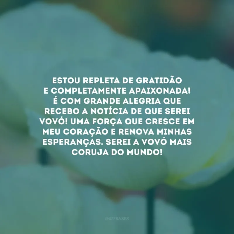 Estou repleta de gratidão e completamente apaixonada! É com grande alegria que recebo a notícia de que serei vovó! Uma força que cresce em meu coração e renova minhas esperanças. Serei a vovó mais coruja do mundo!