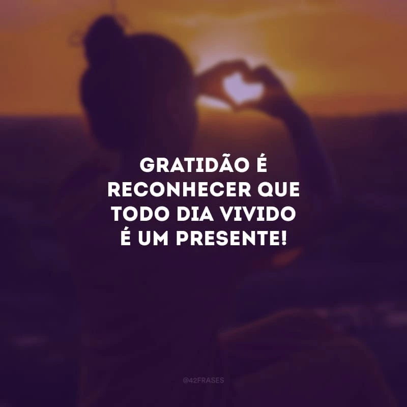 Gratidão é reconhecer que todo dia vivido é um presente!