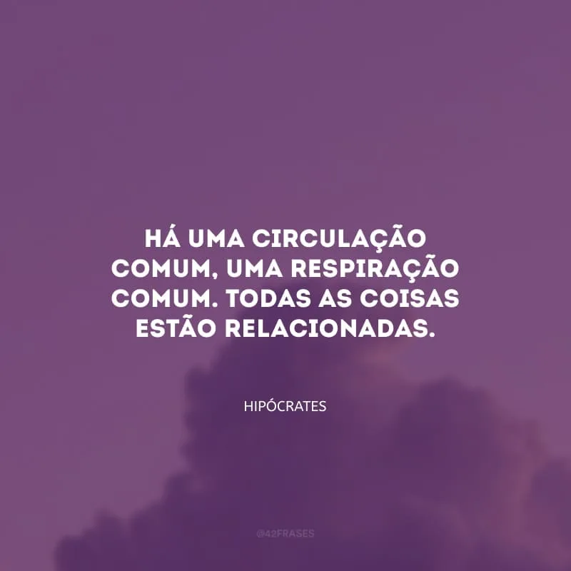 Há uma circulação comum, uma respiração comum. Todas as coisas estão relacionadas.
