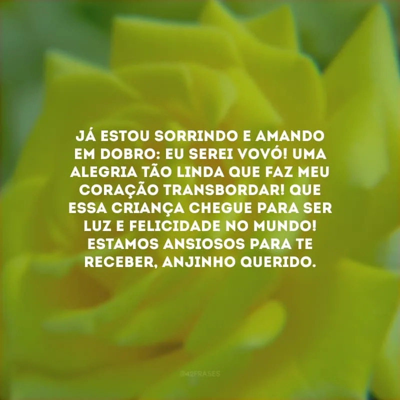 Já estou sorrindo e amando em dobro: eu serei vovó! Uma alegria tão linda que faz meu coração transbordar! Que essa criança chegue para ser luz e felicidade no mundo! Estamos ansiosos para te receber, anjinho querido.