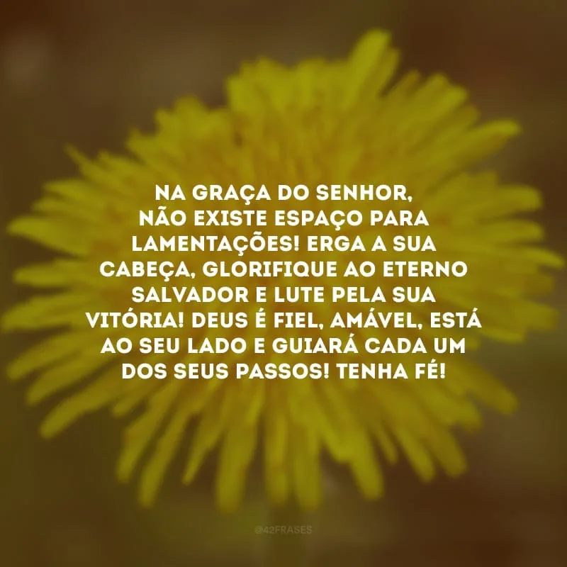 Na graça do Senhor, não existe espaço para lamentações! Erga a sua cabeça, glorifique ao Eterno Salvador e lute pela sua vitória! Deus é fiel, amável, está ao seu lado e guiará cada um dos seus passos! Tenha fé!