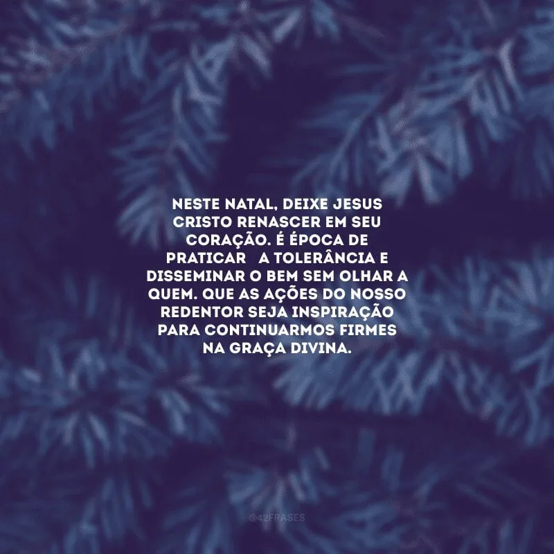 Neste Natal, deixe Jesus Cristo renascer em seu coração. É época de praticar a tolerância e disseminar o bem sem olhar a quem. Que as ações do nosso Redentor seja inspiração para continuarmos firmes na graça divina.