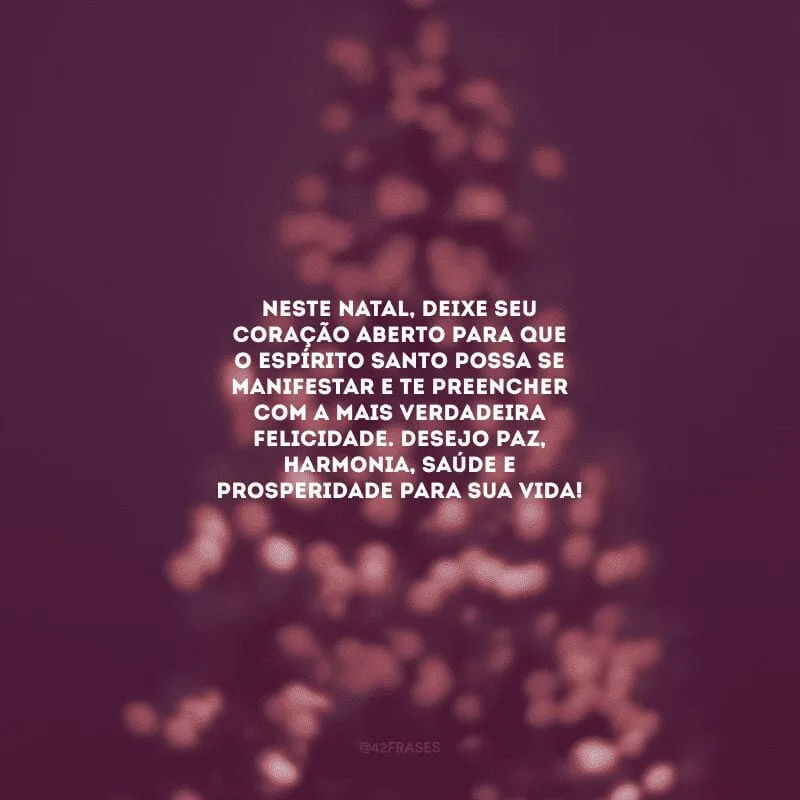 Neste Natal, deixe seu coração aberto para que o Espírito Santo possa se manifestar e te preencher com a mais verdadeira felicidade. Desejo paz, harmonia, saúde e prosperidade para sua vida!